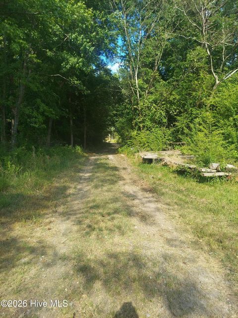 Tiny photo for 000 Harrell Road, Burgaw, NC 28425 (MLS # 100568957)