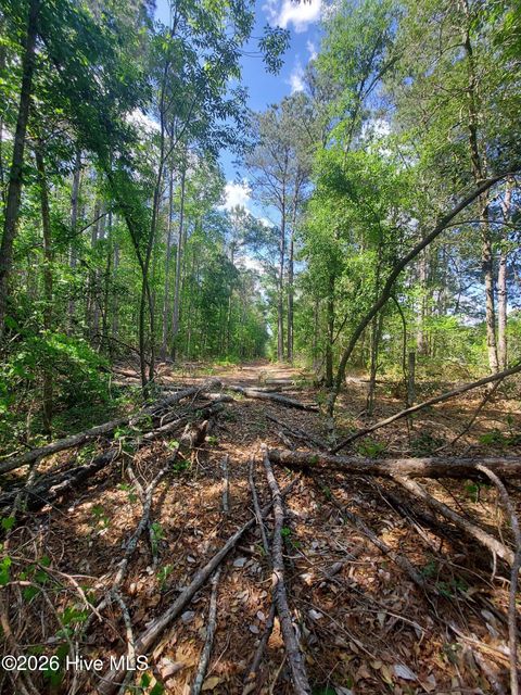 Tiny photo for 000 Harrell Road, Burgaw, NC 28425 (MLS # 100568957)