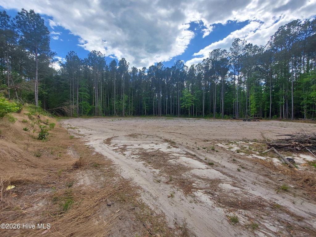 Photo of 000 Harrell Road, Burgaw, NC 28425 (MLS # 100568957)