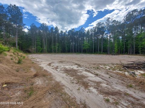 Photo of 000 Harrell Road, Burgaw, NC 28425 (MLS # 100568957)