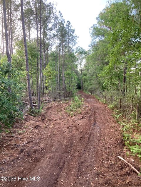 Tiny photo for 000 Harrell Road, Burgaw, NC 28425 (MLS # 100568957)