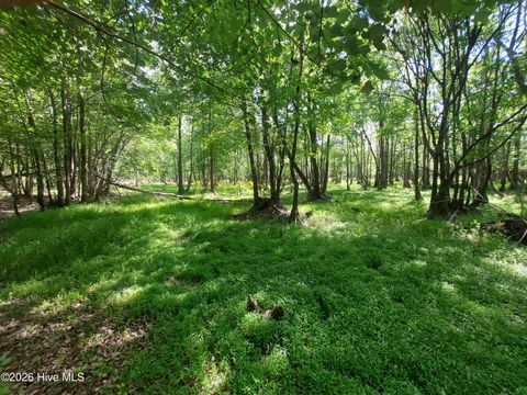 Tiny photo for 000 Harrell Road, Burgaw, NC 28425 (MLS # 100568957)