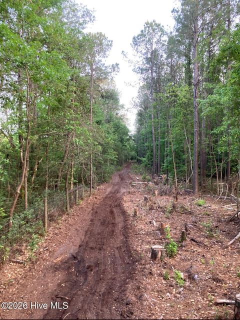 Tiny photo for 000 Harrell Road, Burgaw, NC 28425 (MLS # 100568957)