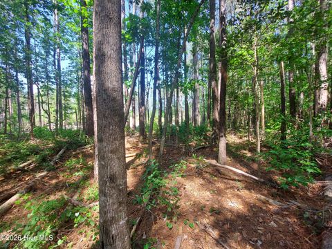 Tiny photo for 000 Harrell Road, Burgaw, NC 28425 (MLS # 100568957)