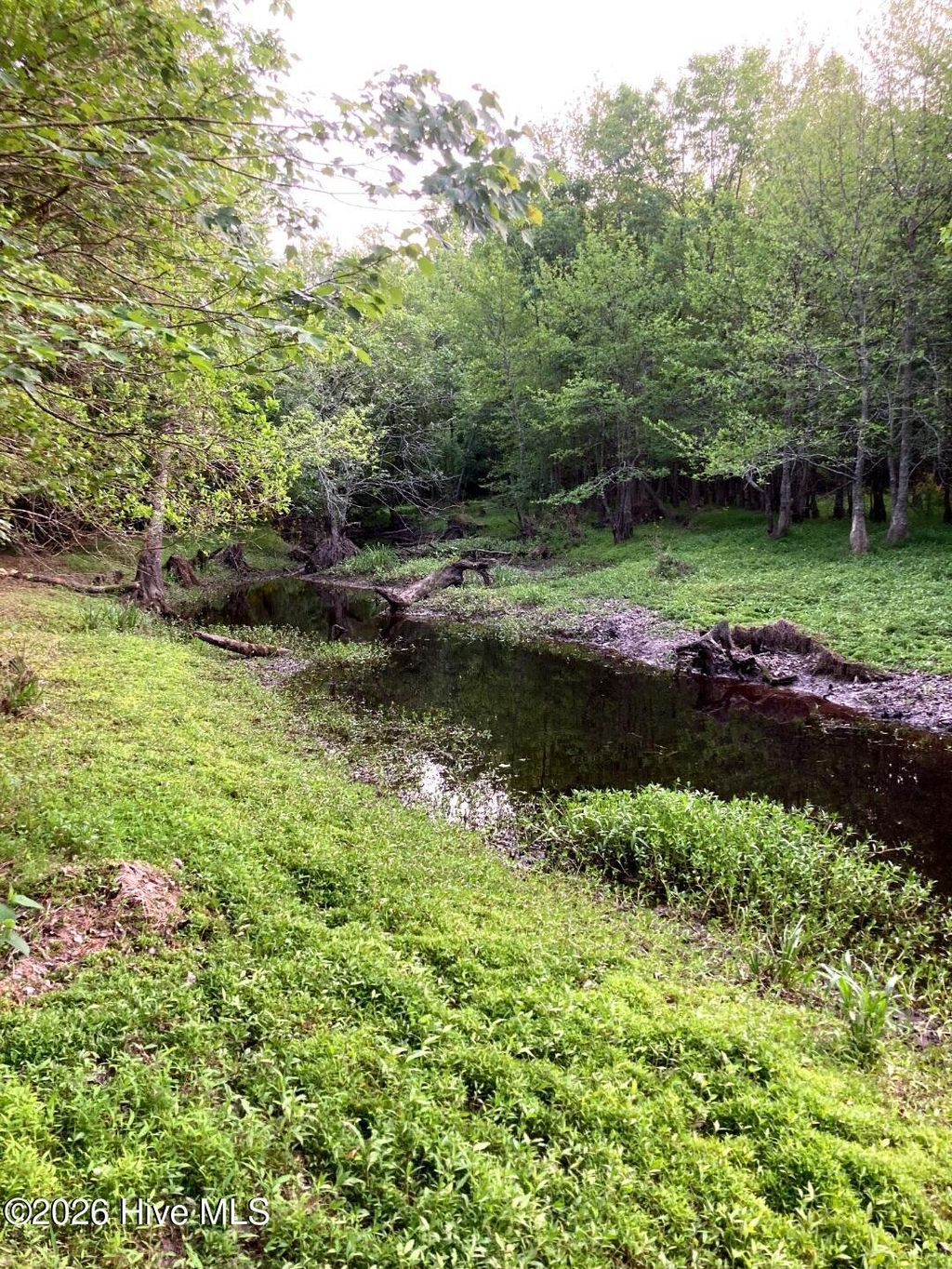 Photo of 000 Harrell Road, Burgaw, NC 28425 (MLS # 100568957)