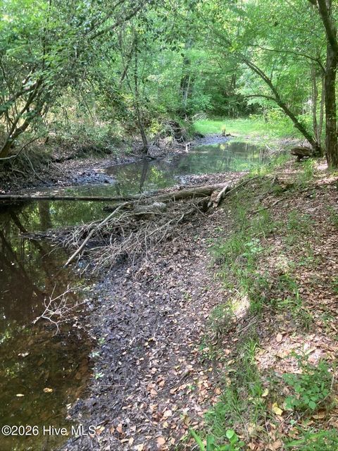 Tiny photo for 000 Harrell Road, Burgaw, NC 28425 (MLS # 100568957)
