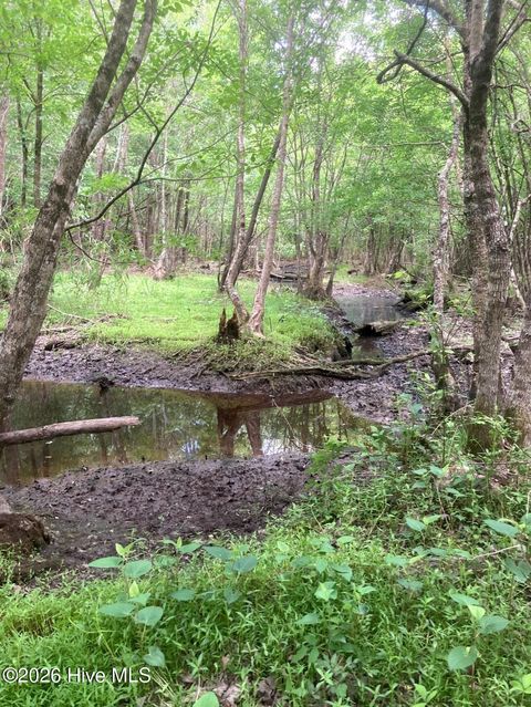 Tiny photo for 000 Harrell Road, Burgaw, NC 28425 (MLS # 100568957)