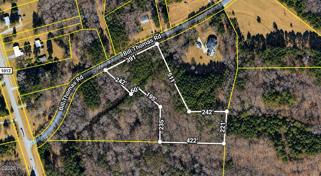 Photo of 132 Bill Thomas Road, Moncure, NC 27559 (MLS # 100603384)