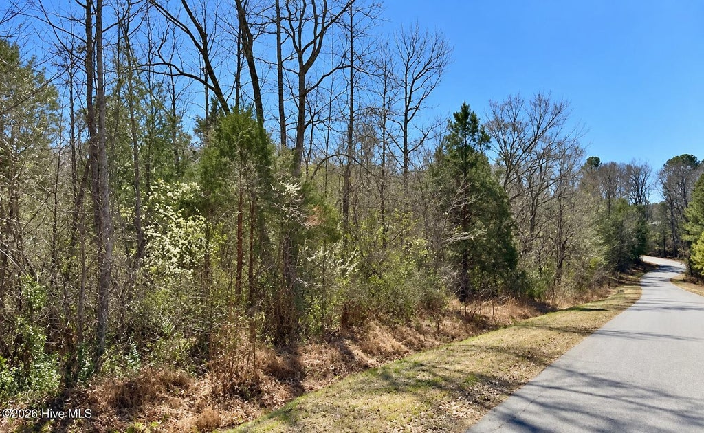 Photo of 132 Bill Thomas Road, Moncure, NC 27559 (MLS # 100603384)