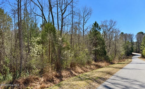 Vacant Land For Sale - 132 Bill Thomas Road<br/> Chatham County, Moncure, NC 27559
