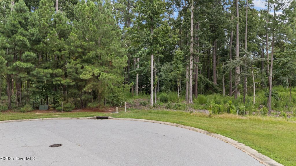 Photo of 21 Liverpool, Rocky Mount, NC 27804 (MLS # 100529018)