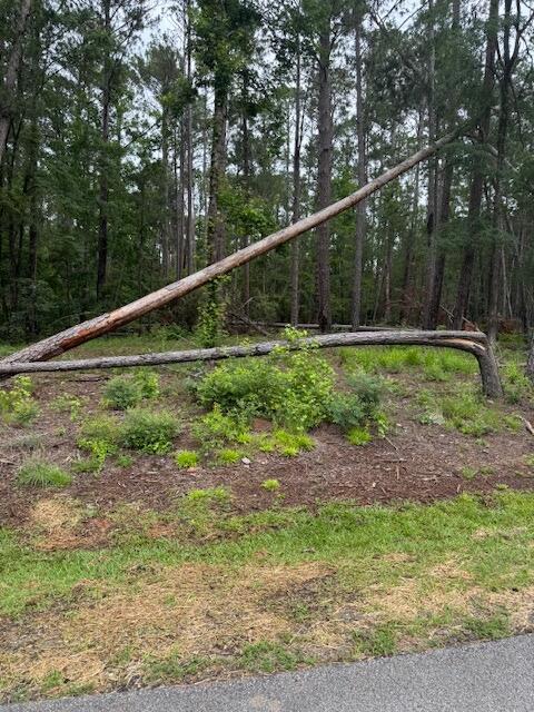 L27, B40 Martin Drive