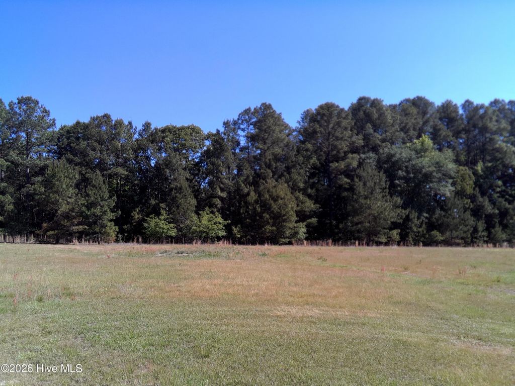 Photo of 2025 Vass Carthage Road, Carthage, NC 28327 (MLS # 100574628)