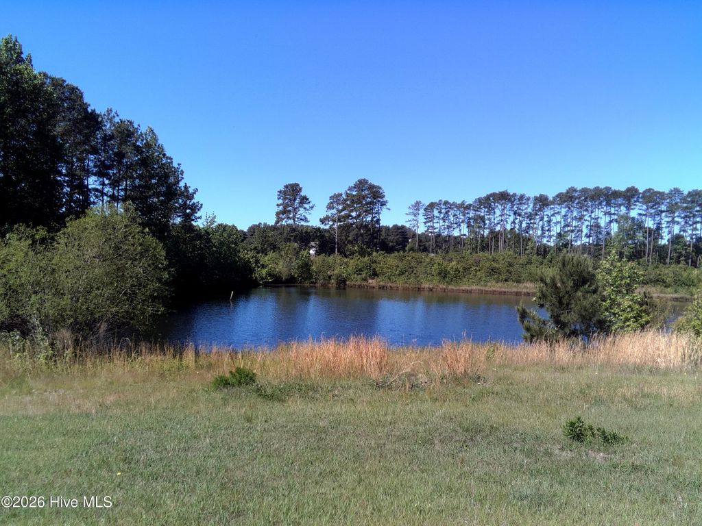 Photo of 2025 Vass Carthage Road, Carthage, NC 28327 (MLS # 100574628)