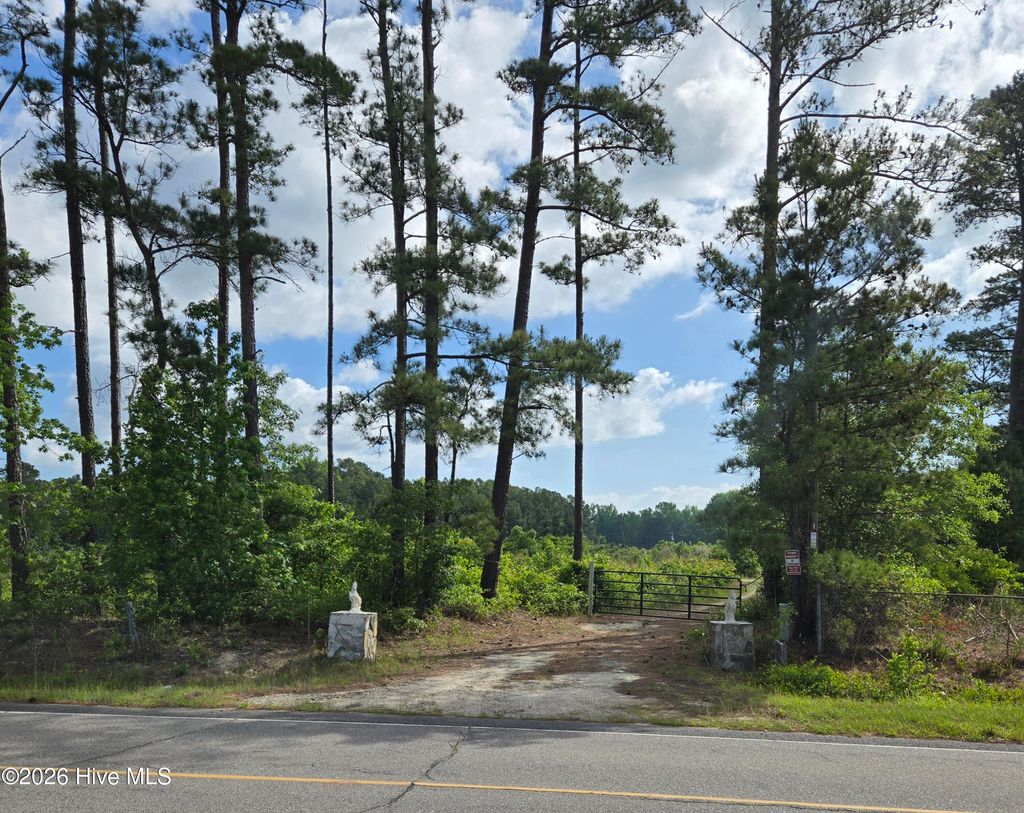 Photo of 2025 Vass Carthage Road, Carthage, NC 28327 (MLS # 100574628)