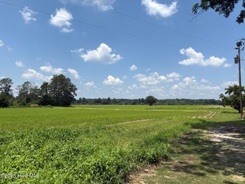 Vacant Land For Sale - 0 NEAR James B White Highway<br/> Clarkton, NC 28433