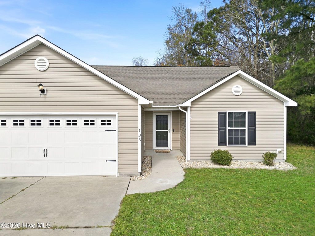 Photo of 135 Chadwick Acres Road, Sneads Ferry, NC 28460 (MLS # 100563637)