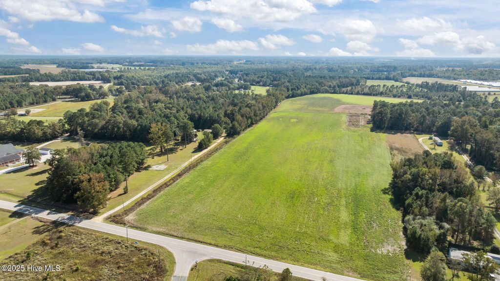 Photo of 125 Acres Bonnetsville Road, Clinton, NC 28328 (MLS # 100546272)