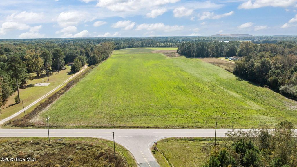 Photo of 125 Acres Bonnetsville Road, Clinton, NC 28328 (MLS # 100546272)