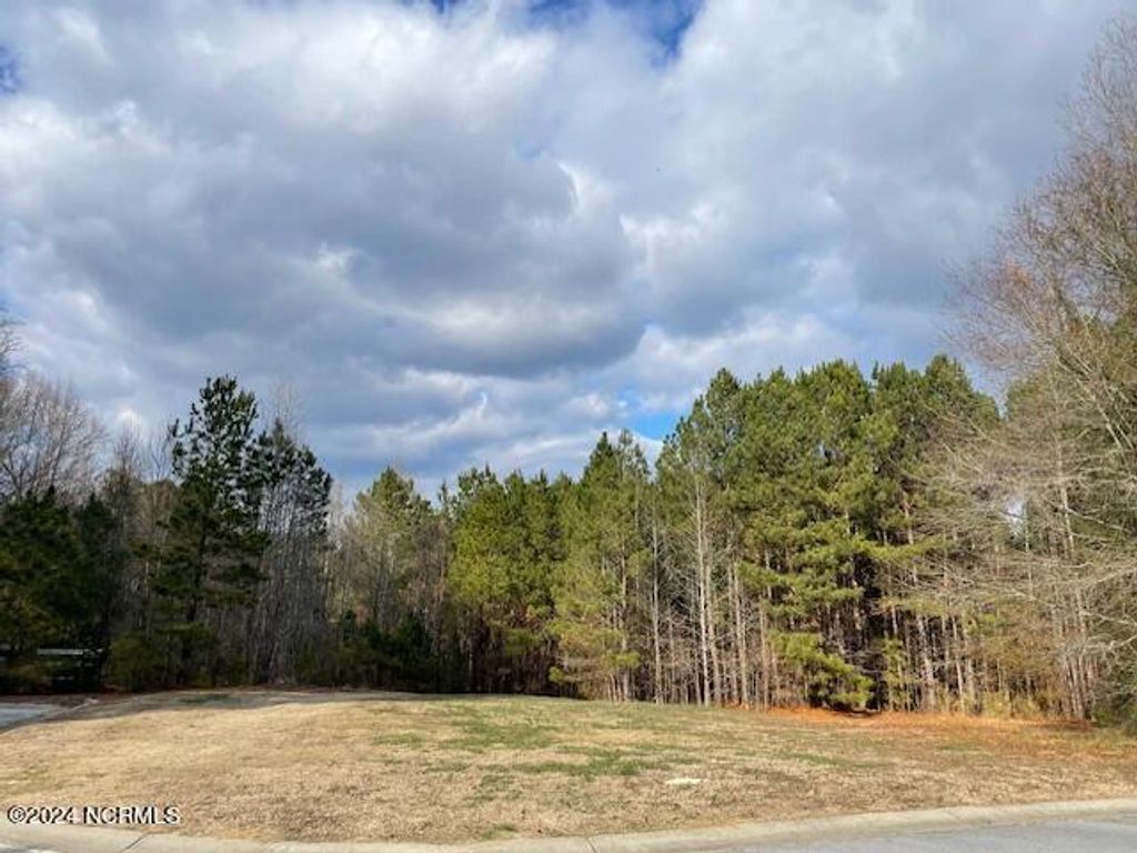 Photo of 2533 Belmont Lake Drive, Rocky Mount, NC 27804 (MLS # 100420862)