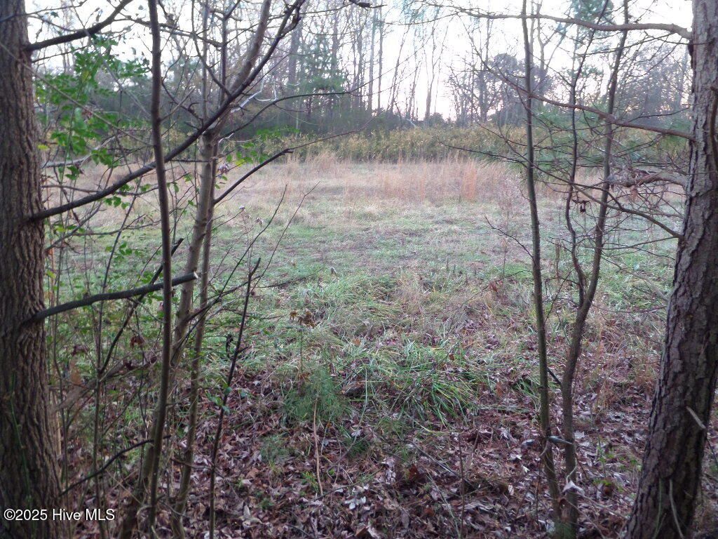 Photo of 401 S Maple Street, Oak City, NC 27857 (MLS # 100546560)