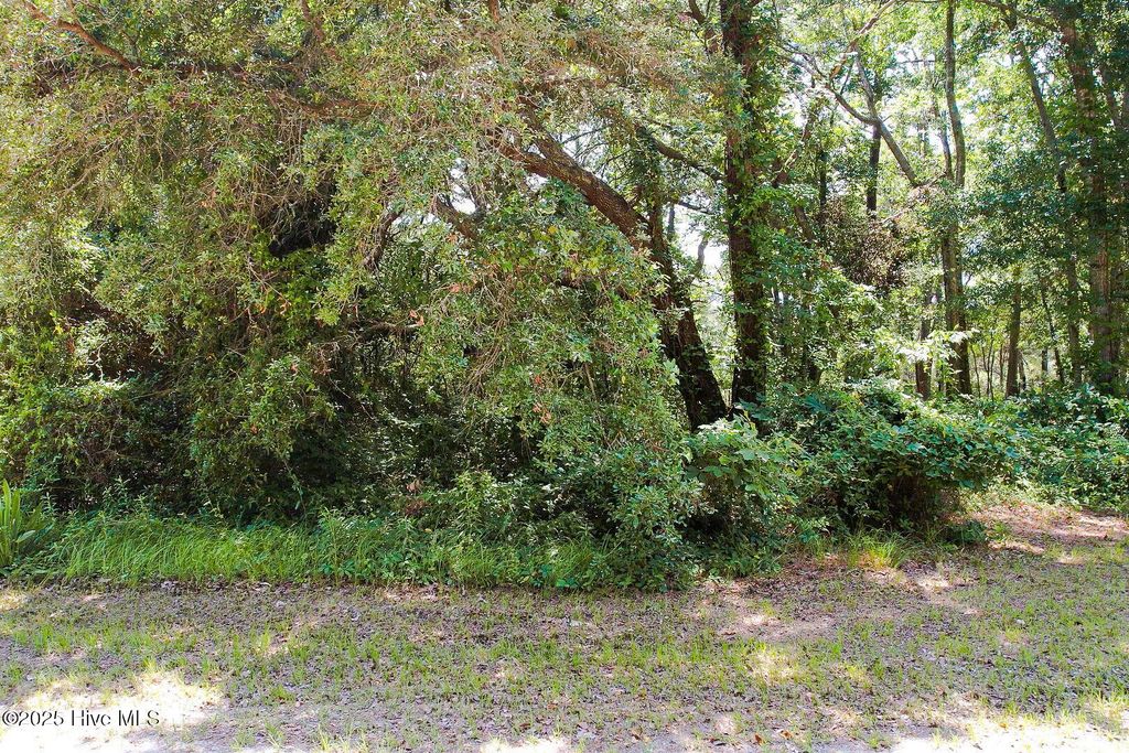 Photo of 1705 Long Shore Drive SW, Shallotte, NC 28470 (MLS # 100519395)