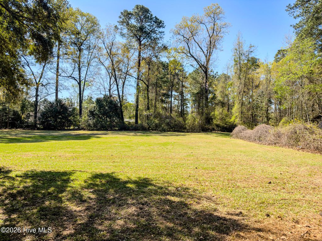Photo of 598 Forest Road, Lumberton, NC 28358 (MLS # 100567353)
