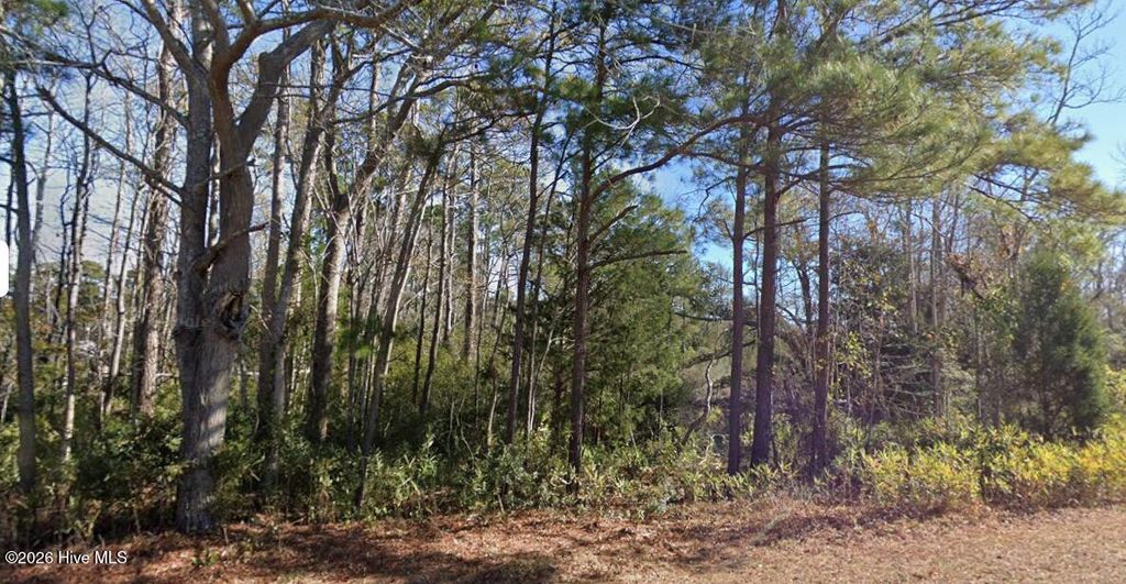 Photo of 1616 Star Cross Drive SW, Shallotte, NC 28470 (MLS # 100577796)