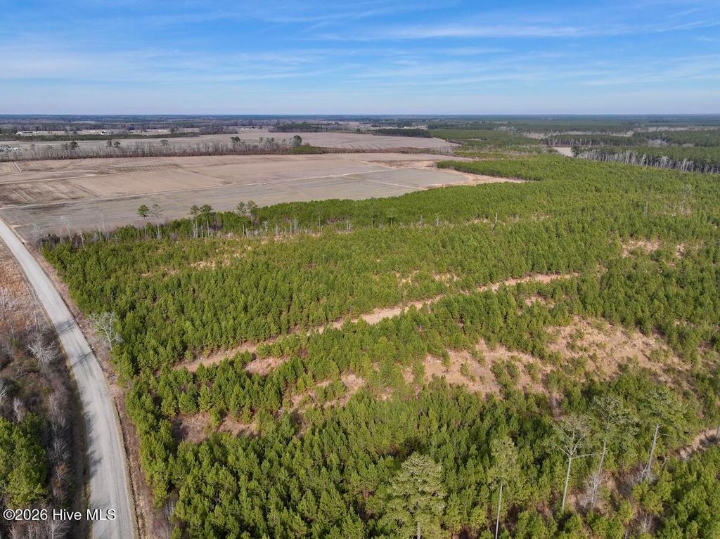 Photo of 0 Old Washington Road, Vanceboro, NC 28586 (MLS # 100555589)