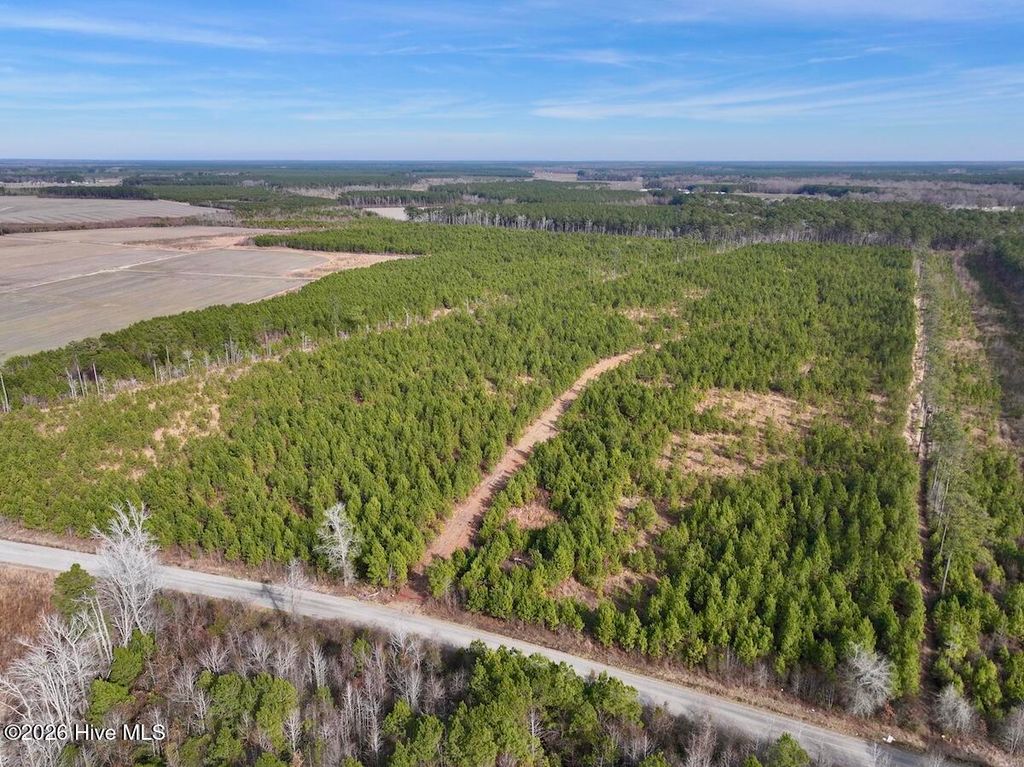 Photo of 0 Old Washington Road, Vanceboro, NC 28586 (MLS # 100555589)