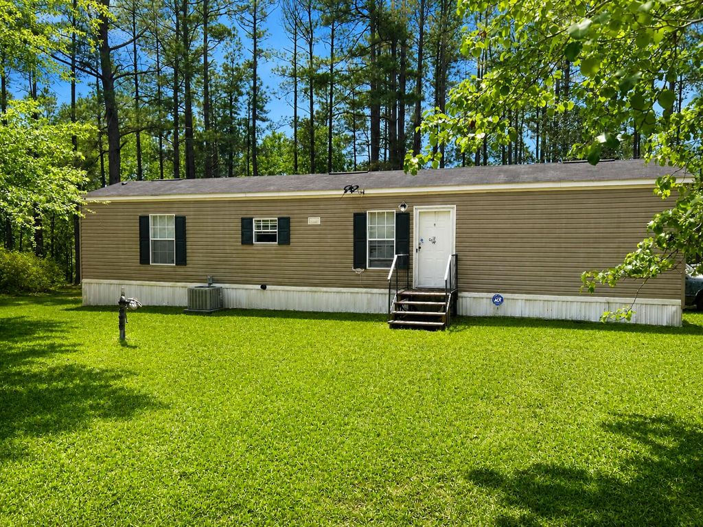 Photo of 1059 Rabitsch Road, Millen, GA 30442 (MLS # 555348)