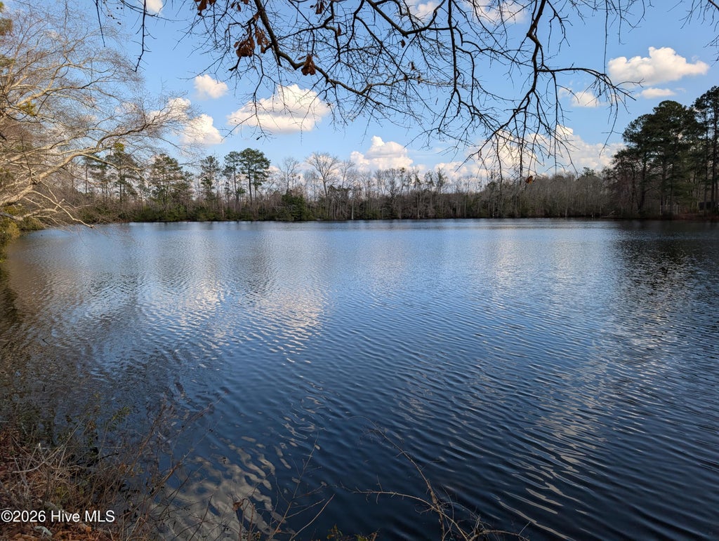 Photo of 4719 Lakeview Road, Elm City, NC 27822 (MLS # 100608730)