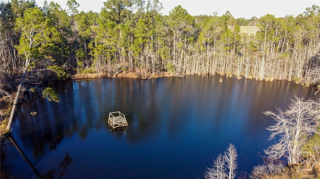 Photo of 481 Clifford Purvis Road, Collins, GA 30421 (MLS # SA344992)