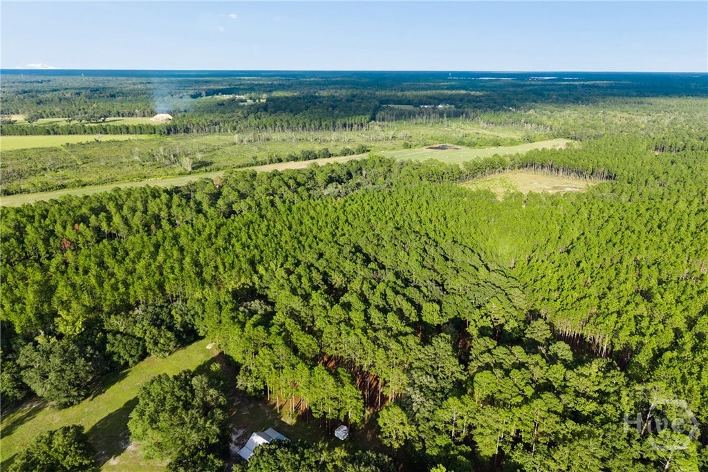 Photo of 0 Bub, Ellabell, GA 31308 (MLS # SA364887)
