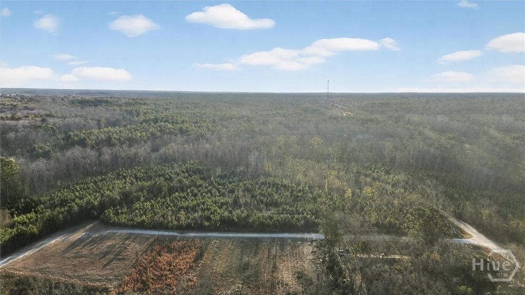 Photo of 0 Greenhill Drive, Sardis, GA 30456 (MLS # SA346583)