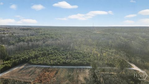 Vacant Land For Sale - Greenhill Drive<br/> Sardis, GA 30456