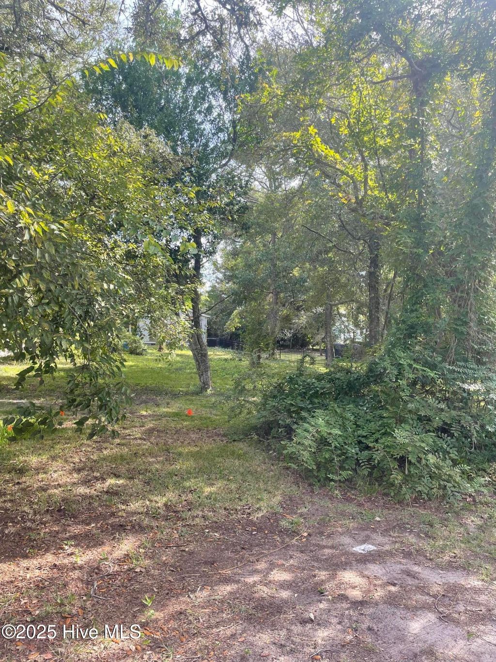 Photo of 203 Clarendon Avenue, Southport, NC 28461 (MLS # 100535163)