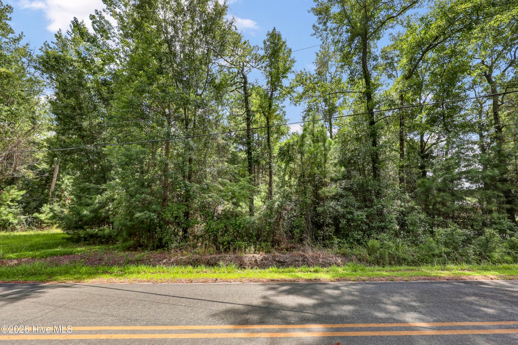Photo of 2916 Acorn Branch Road, Wilmington, NC 28405 (MLS # 100596625)