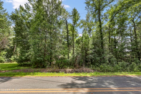 Tiny photo for 2916 Acorn Branch Road, Wilmington, NC 28405 (MLS # 100596625)