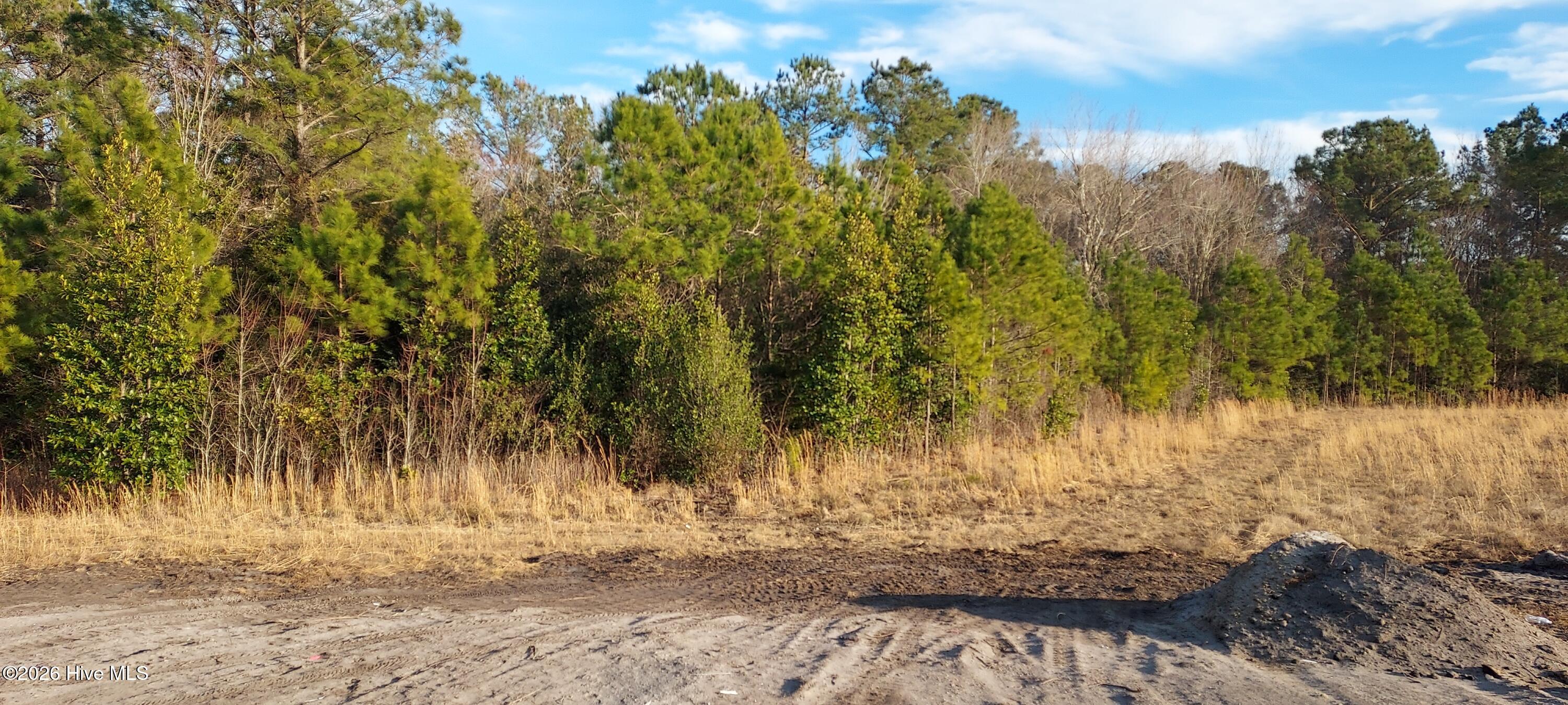 160 Cripple Creek Drive