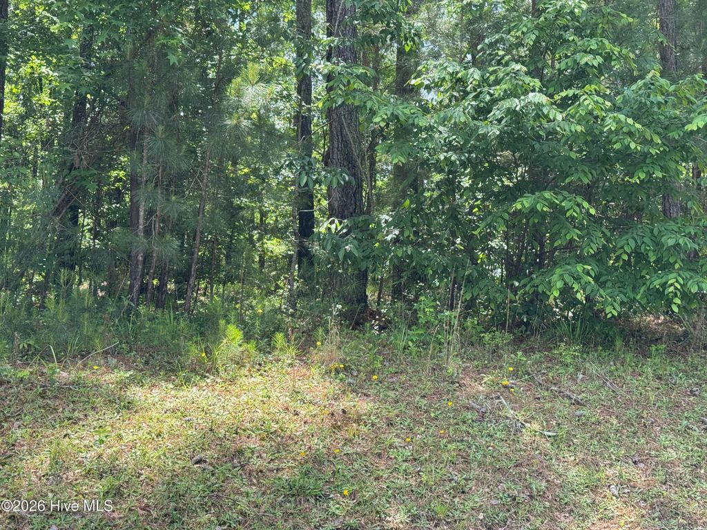 Photo of 13 Shooting Match Lane, North Augusta, SC 29860 (MLS # 100575844)