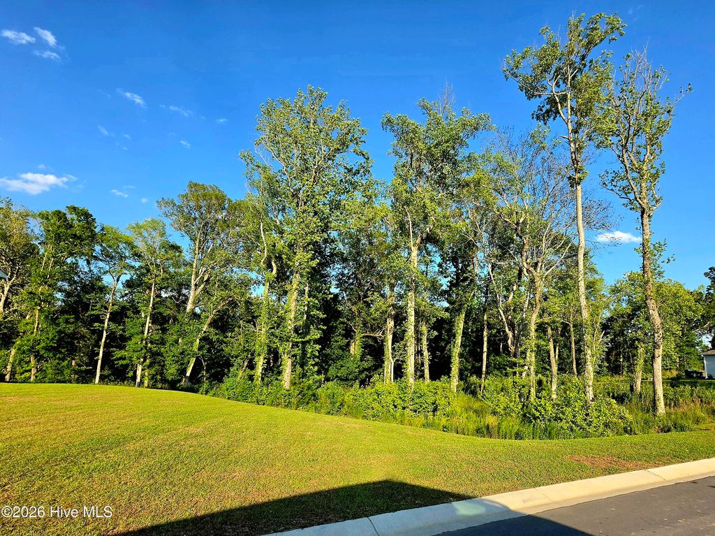 Photo of 518 Silky Oak Drive SE #Lot 262, Bolivia, NC 28422 (MLS # 100573955)