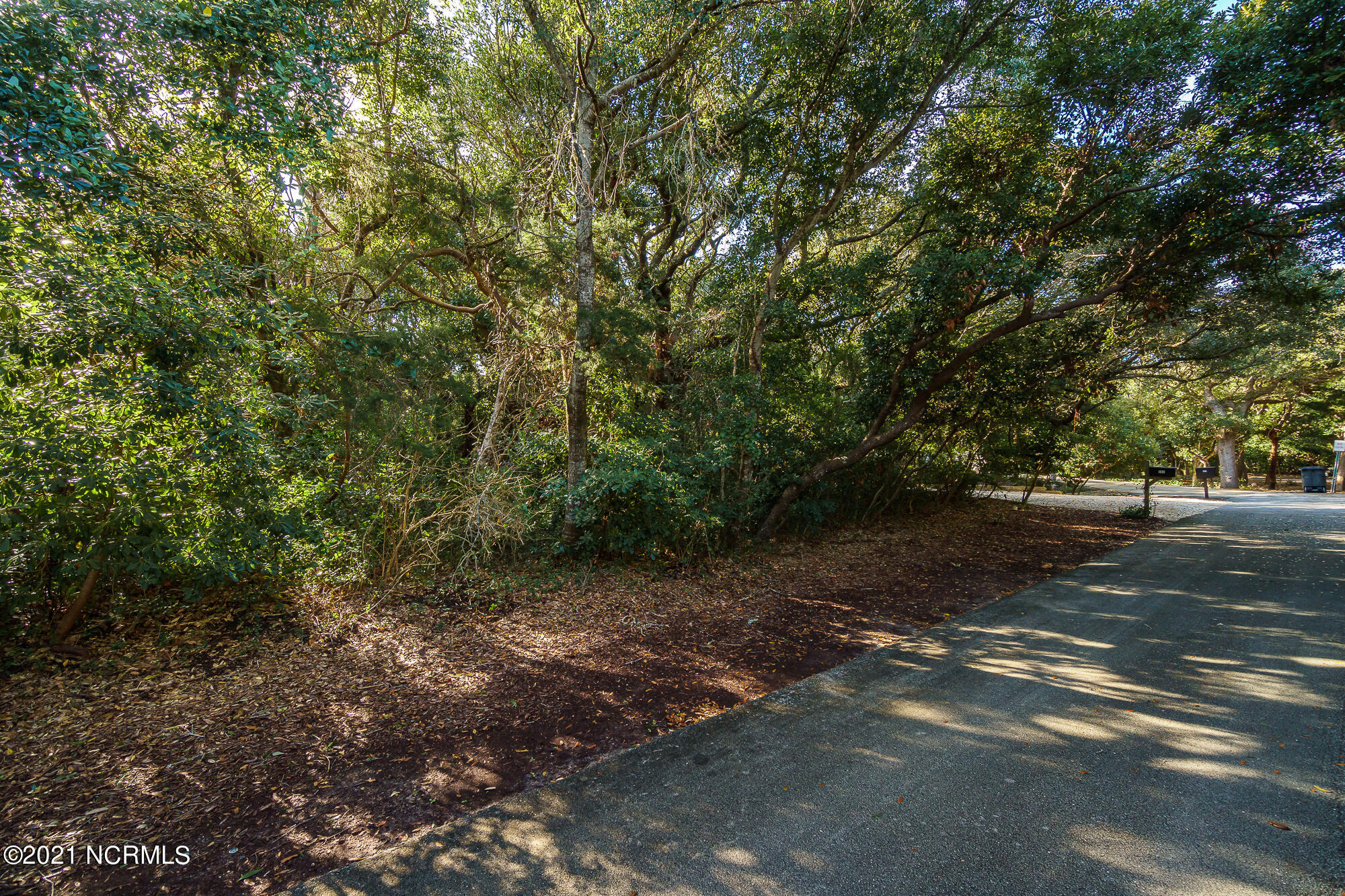 581 Forest Dunes Drive