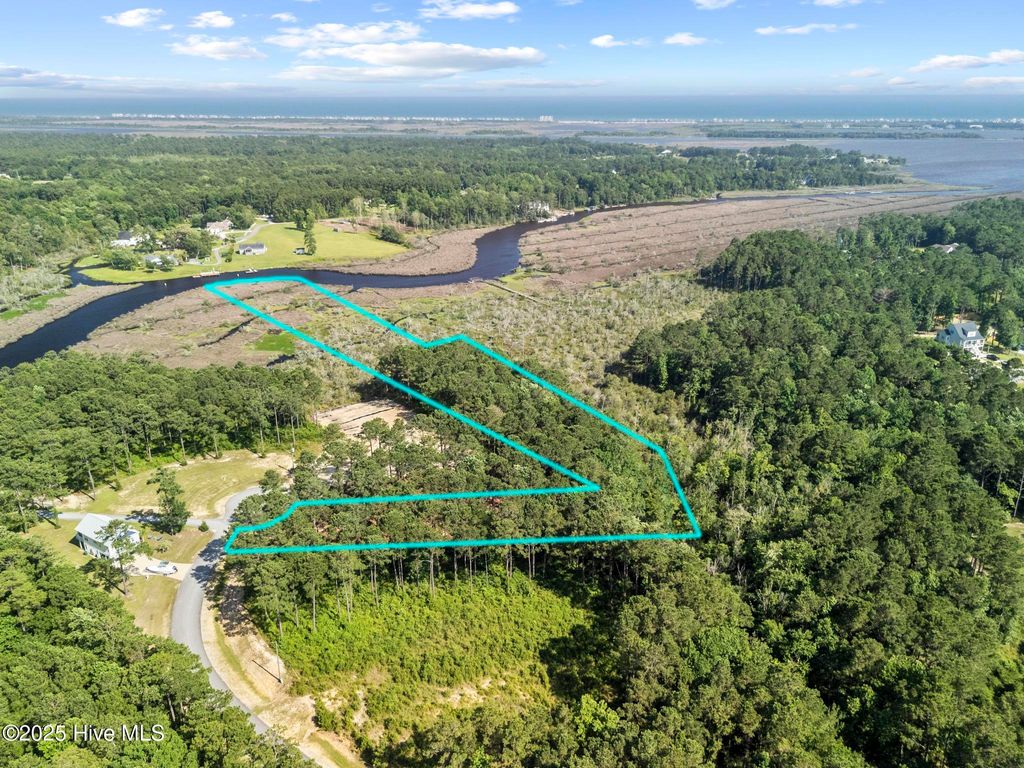 Photo of 218 Alderman Landing Road, Holly Ridge, NC 28445 (MLS # 100517301)