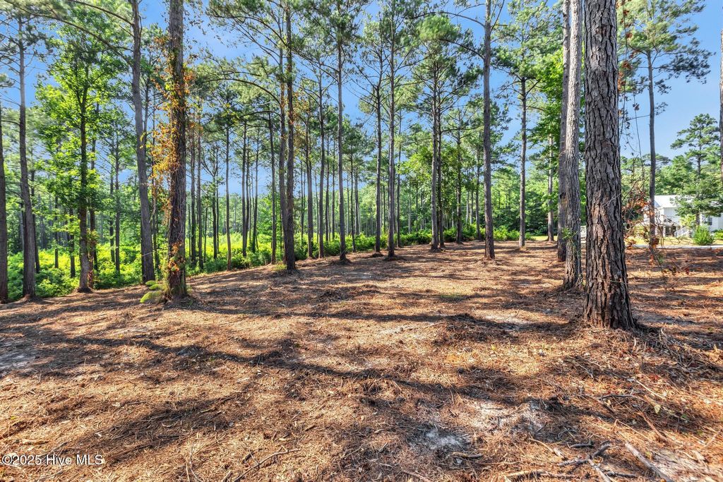 Photo of 218 Alderman Landing Road, Holly Ridge, NC 28445 (MLS # 100517301)