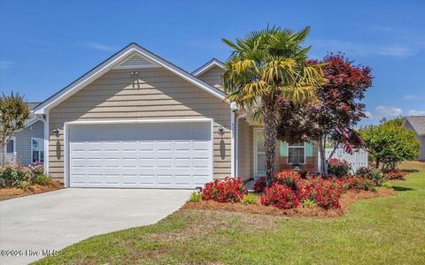 Photo of 4286 River Birch Drive, Southport, NC 28461 (MLS # 100571789)