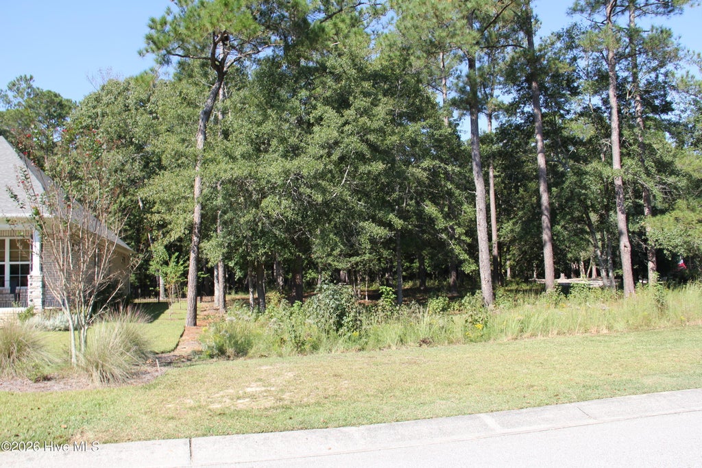 Photo of 607 Grovewood Lane SE, Bolivia, NC 28422 (MLS # 100613438)