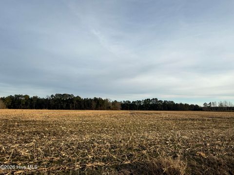 Vacant Land For Sale - LOT 22 Beasley Road<br/> Washington County, Roper, NC 27970