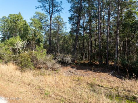 Tiny photo for 14 Brickyard Road, Hampstead, NC 28443 (MLS # 100559861)