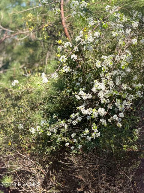 Tiny photo for 14 Brickyard Road, Hampstead, NC 28443 (MLS # 100559861)